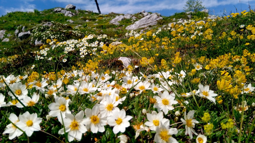 Na Velikej Planinie (fot. Paweł Klimek)