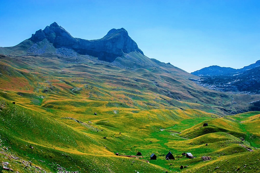 Wysokogórskie łąki Durmitoru