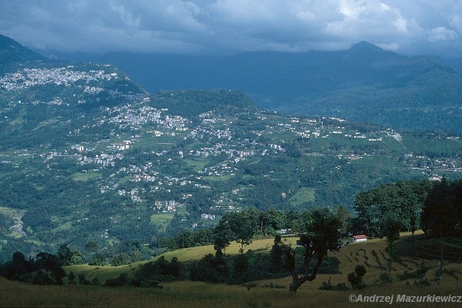 Widok na Gangtok stolicę Sikkimu z klasztoru Rumtek