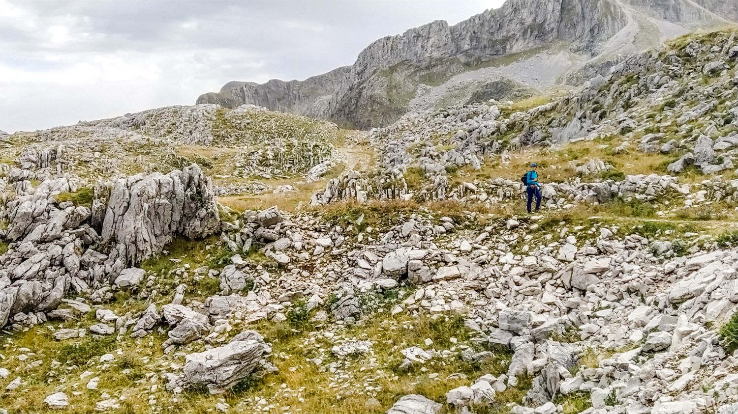 fot. Piotr Mojżyszek