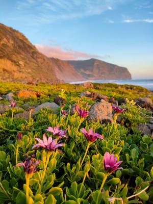 Flores, Fajã Grande (fot. Milena Dąbrowska)