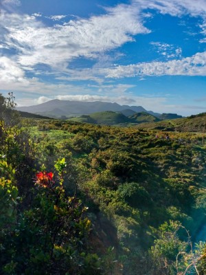 Terceira, miejsce wtórnej aktywności wulkanicznej Furnas do Enxofre (fot. Milena Dąbrowska)