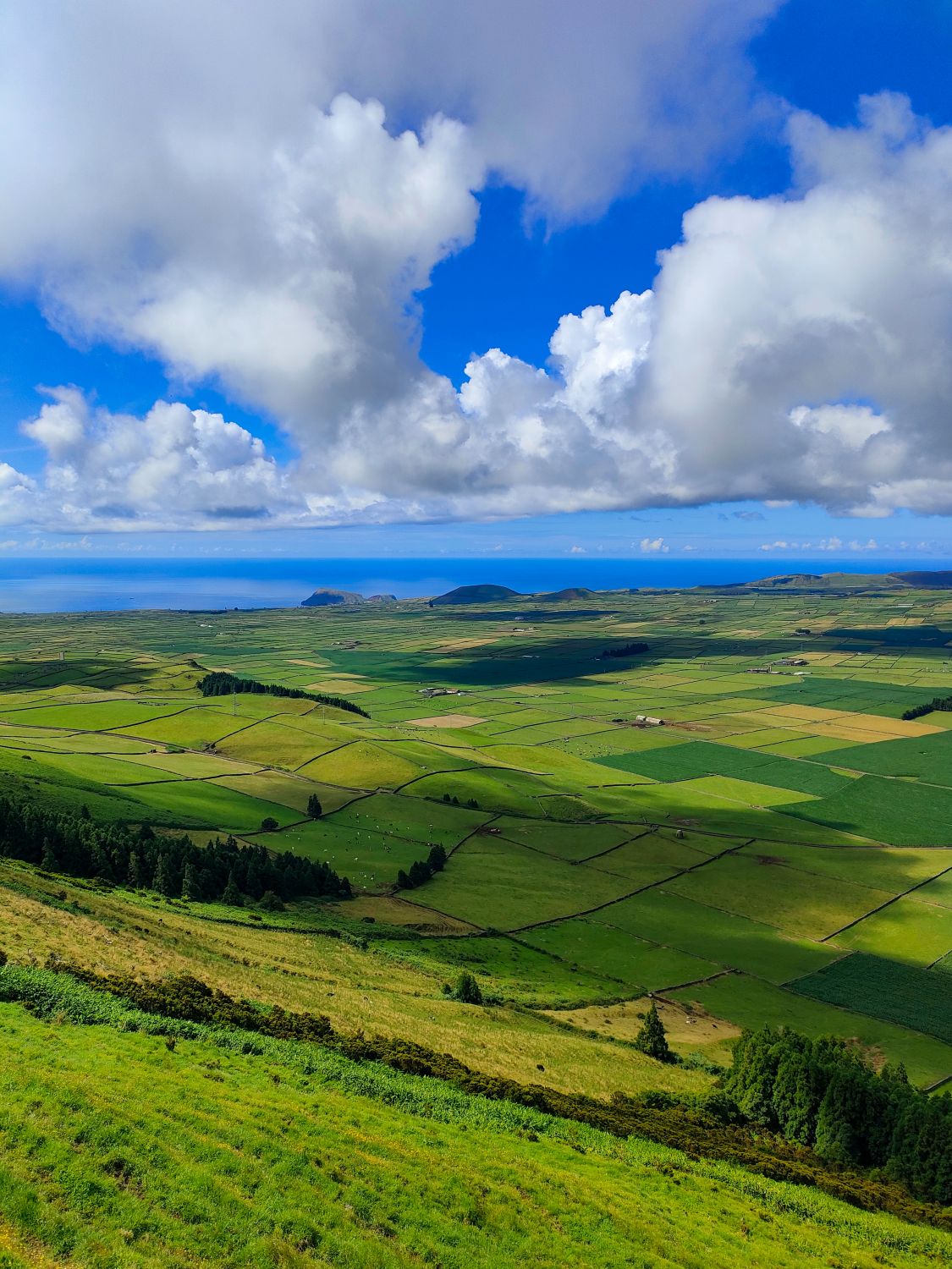 Terceira, punkt widokowy Miradouro da Serra do Cume (fot. Milena Dąbrowska)