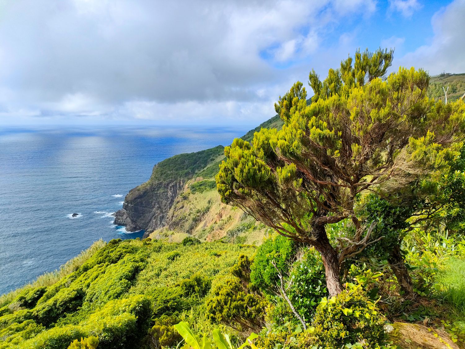 Flores, widok na ocean (fot. Milena Dąbrowska)