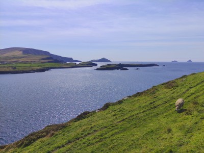 Gdzieś na półwyspie Dingle, fot. Wojtek Wąsowicz