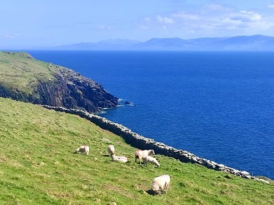 Półwysep Dingle, fot. Wojtek Wąsowicz