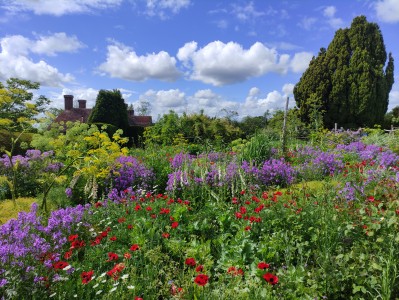 Great Dixter, fot. Wojtek Wąsowicz