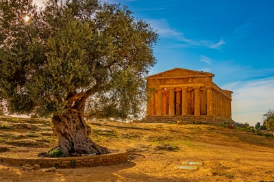 Świątynia Zgody w Dolinie Świątyń w Agrigento