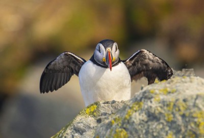 fot. Paweł Czapczyk