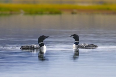 fot. Paweł Czapczyk