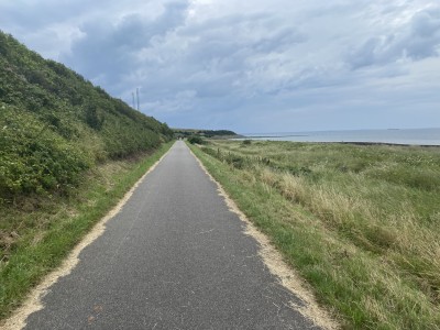 ścieżka rowerowa na zachodzie Skanii (fot. Kamil Wereszczyński)