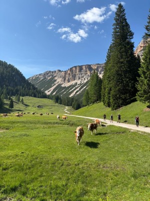 fot. Mikołaj Klimek