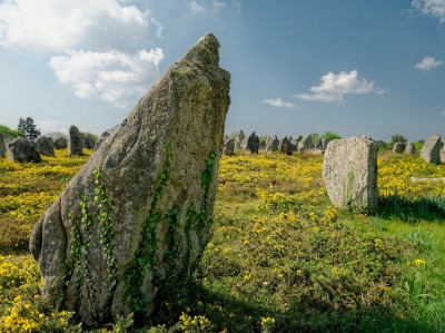 Menhiry w Carnac