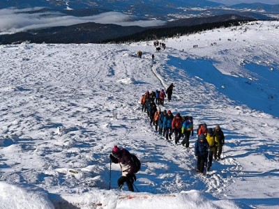 Wędrówka w masywie Babiej Góry