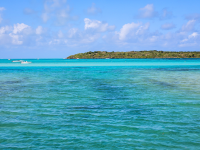 Widok na rezerwat Ile aux Aigrettes, fot. M. Olszewska