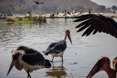 fot. A. Ożarowska fot. A. Ożarowska