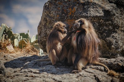 fot. A. Ożarowska fot. A. Ożarowska