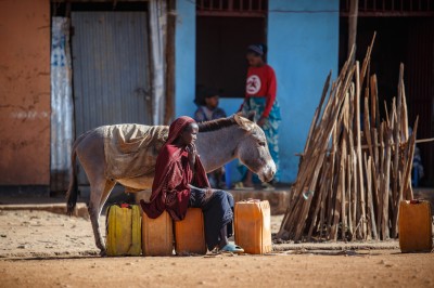 fot. A. Ożarowska fot. A. Ożarowska