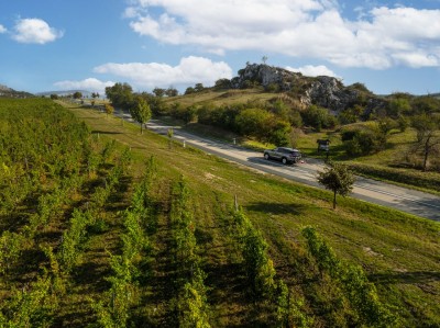 Widok na winnicę na Winnym Szlaku Moraw - visitczechia.com