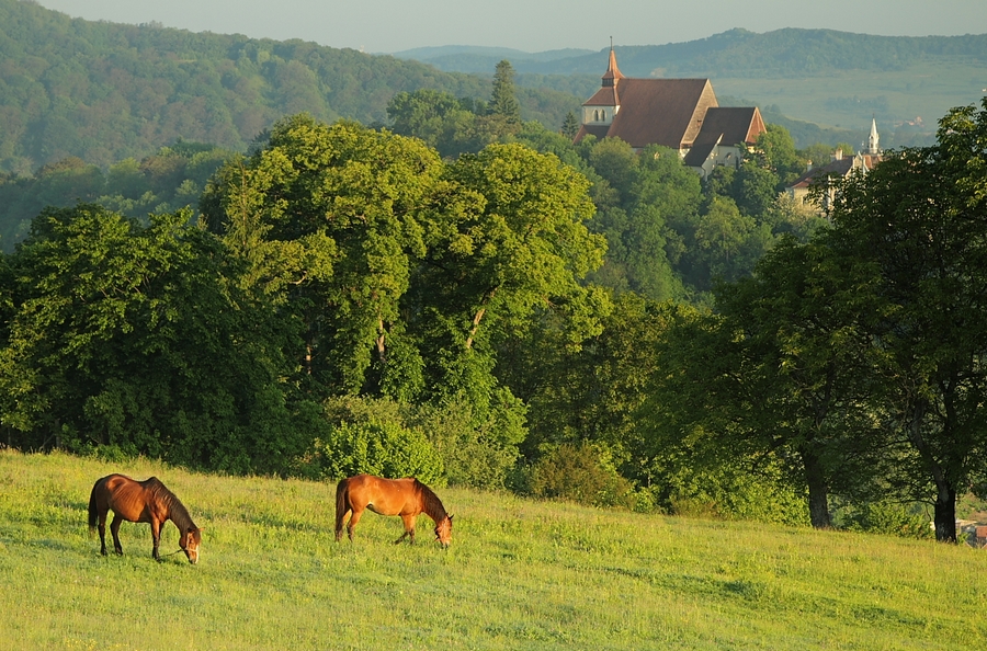 okolice Sighisoara, fot. S. Adamczak okfoto.pl