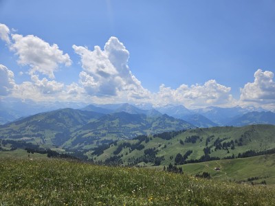 Ukwiecone łąki z widokiem na wysokie alpejskie szczyty (fot. Estera Motyl)