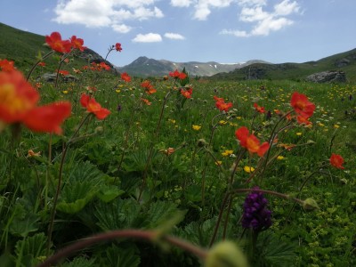 W drodze na Wielką Rudokę (2658 n.p.m.). Widok na masyw Wielkiej Rudoki (fot. Adam Fijołek)