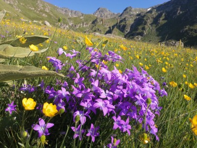 Szlak na Bister (2651 n.p.m.) z przełęczy Prevalle. Dolina potoku Lumbardhi i Prizrenit (fot. Adam Fijołek)
