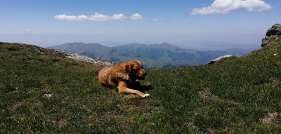 Odpoczynek pod szczytem Bistera (2651 n.p.m.) (fot. Adam Fijołek)