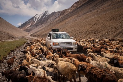 Spotkanie na drodze (fot. S. Adamczak, okfoto.pl) Spotkanie na drodze (fot. S. Adamczak, okfoto.pl)