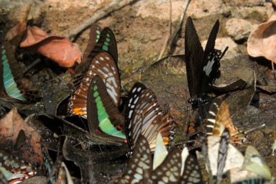 Bogactwo przyrody na każdym kroku (fot. S. Odrzykoski)