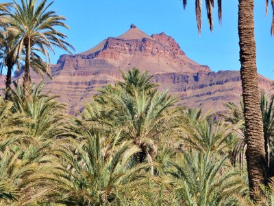 Widok z oazy na góry