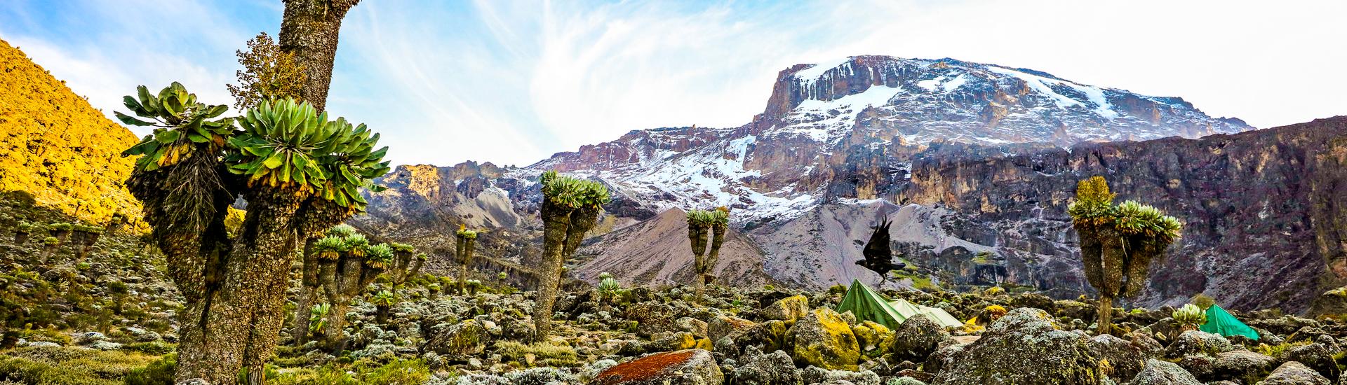 Na dachu Afryki - Kilimandżaro i Mount Meru