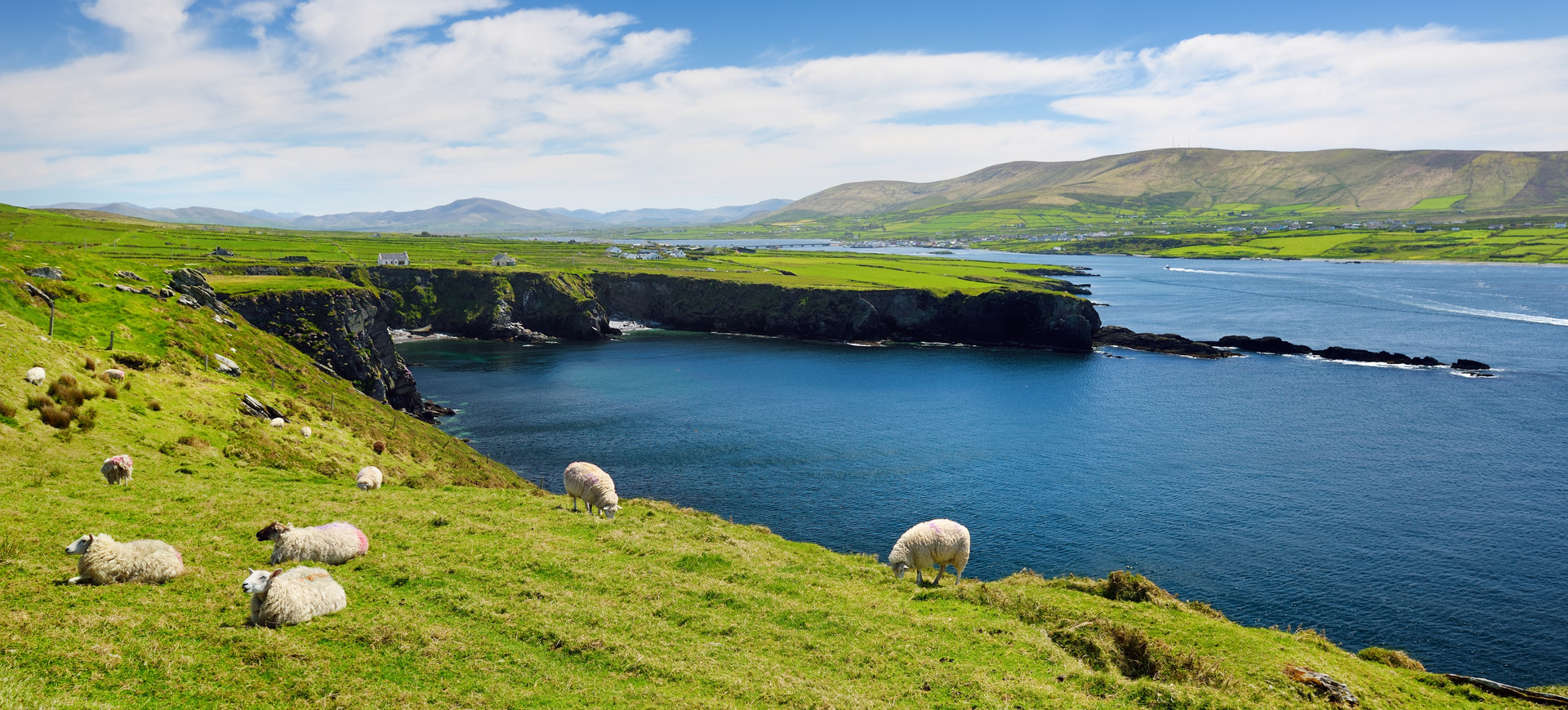 Irlandia - wszystkie odcienie zieleni