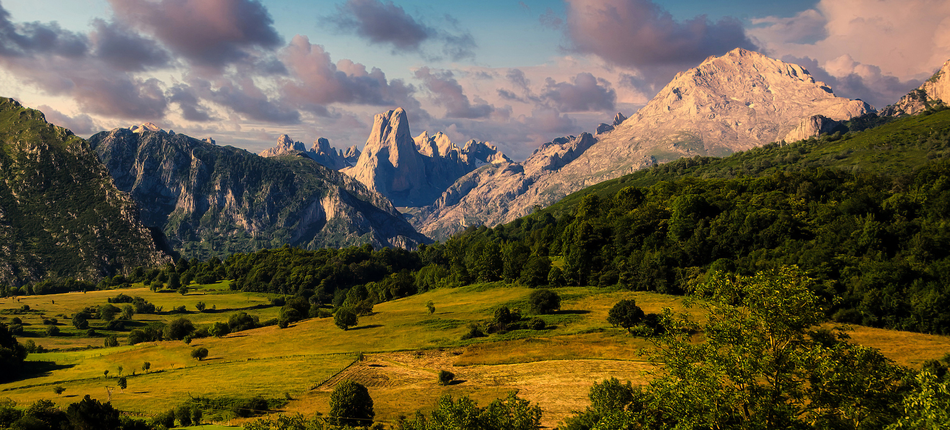 Picos de Europa