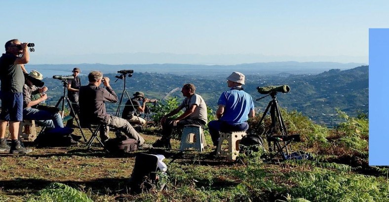 Batumi Raptor Count