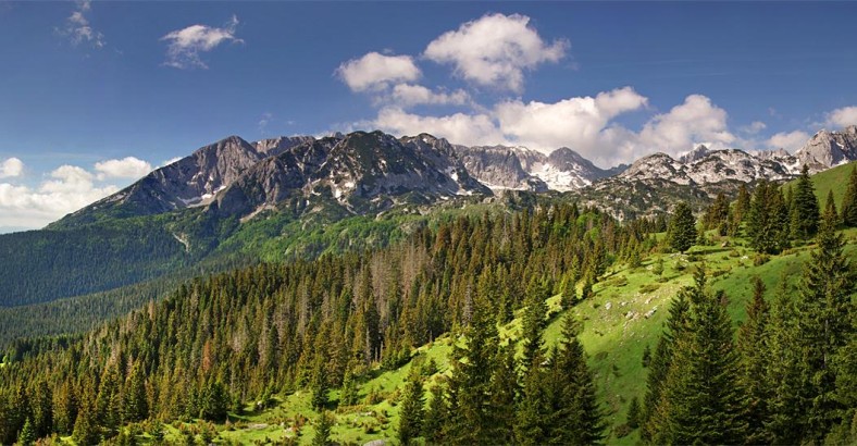 Durmitor i Góry Przeklęte