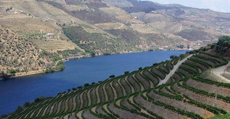 Między Douro a Minho - wędrówki po północnej Portugalii