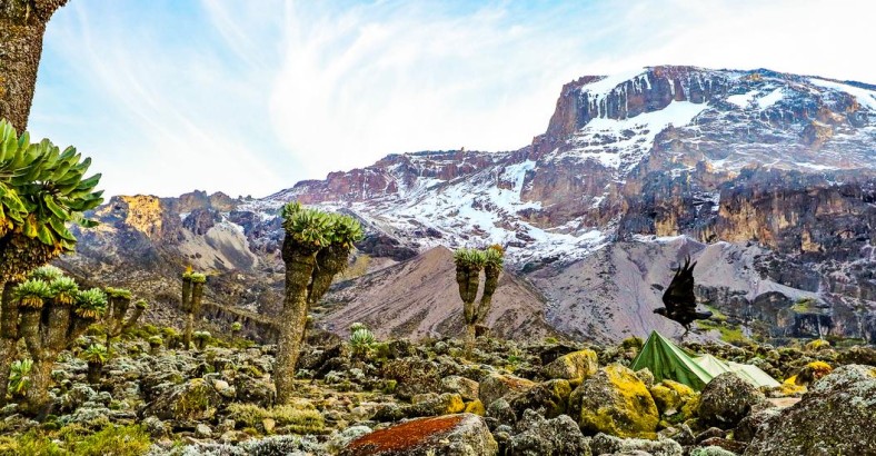 Na dachu Afryki - Kilimandżaro i Mount Meru