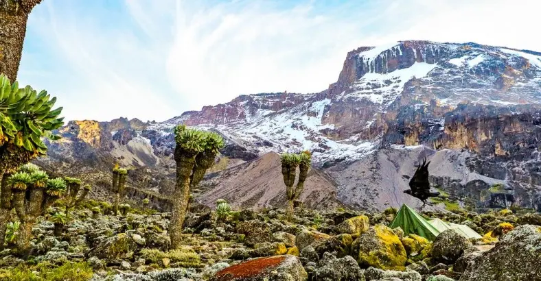 Na dachu Afryki - Kilimandżaro i Mount Meru