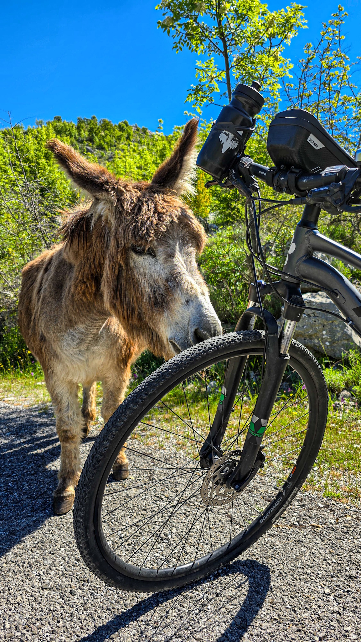 Osiołek - Zdjęcia z rowerowej wycieczki po Albanii i Czarnogórze. fot. Wicher