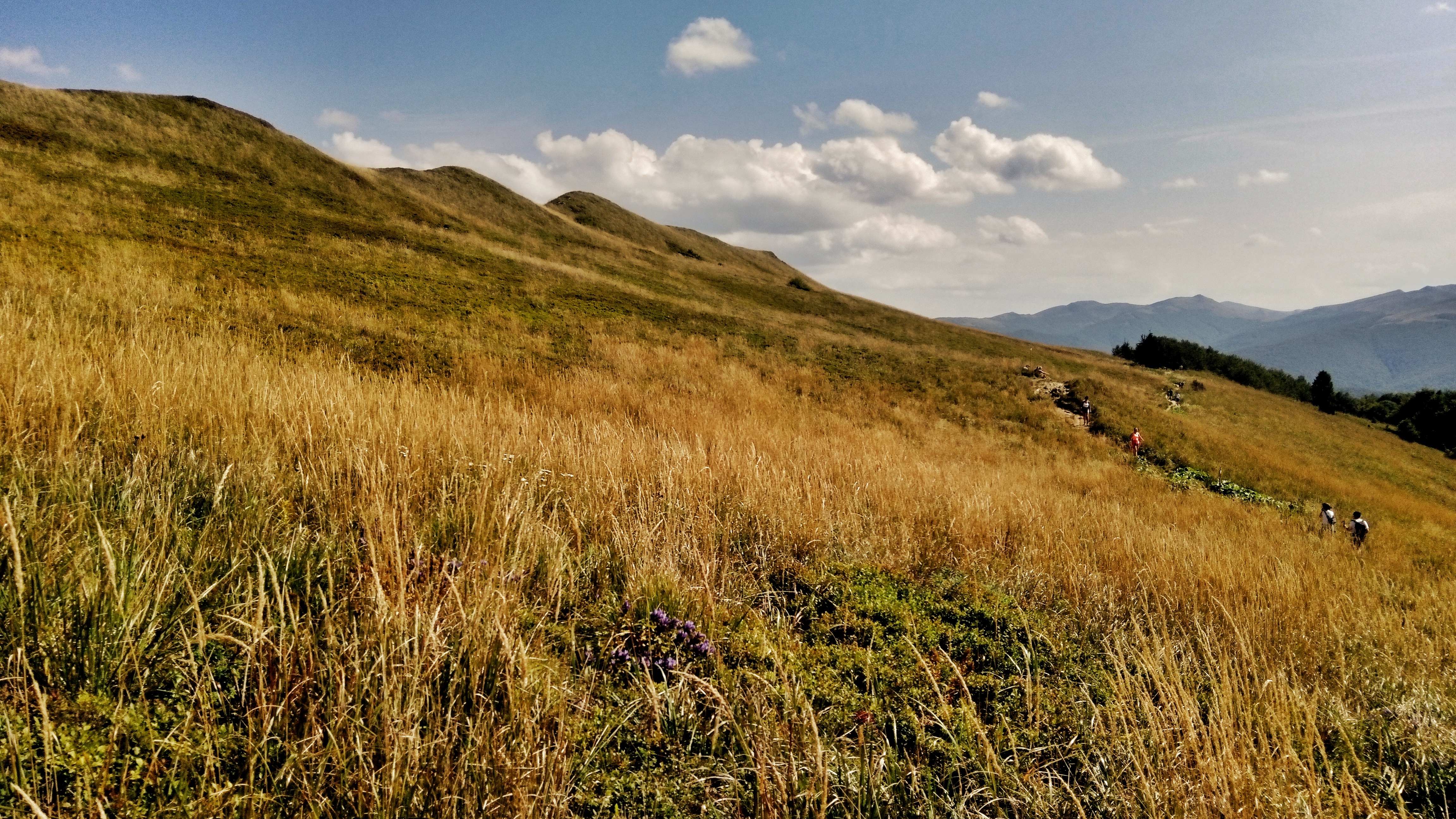 Widok na połoniny w Bieszczadach